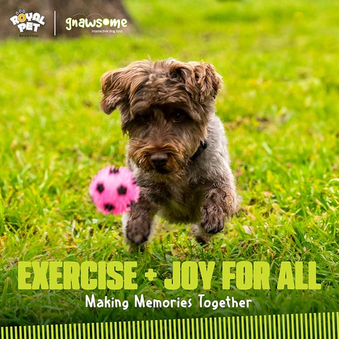 Gnawsome 2.5” Squeak & Light Soccer Ball Dog Toy - Image 7