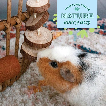 Oxbow Enriched Life Natural Dangly Party Pack, Rabbit Toys, Guinea Pig Toys - Image 6