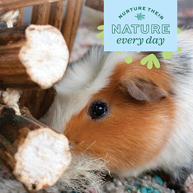 Oxbow Enriched Life Natural Dangly Party Pack, Rabbit Toys, Guinea Pig Toys - Image 8