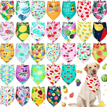 Eccliy 30 Pack Summer Fruit Dog Bandanas Bulk Soft Triangle Dog Scarfs by Eccliy