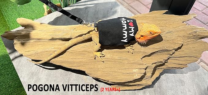 Bearded Dragon Carrier Backpack - Image 7