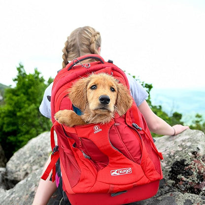 Kurgo G-Train Dog Carrier Backpack - Image 7