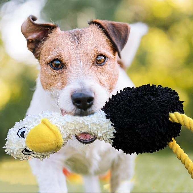 rocket & rex Dog Chew Toy Set for Small to Medium Breeds, Includes a Rope Toy - Image 6