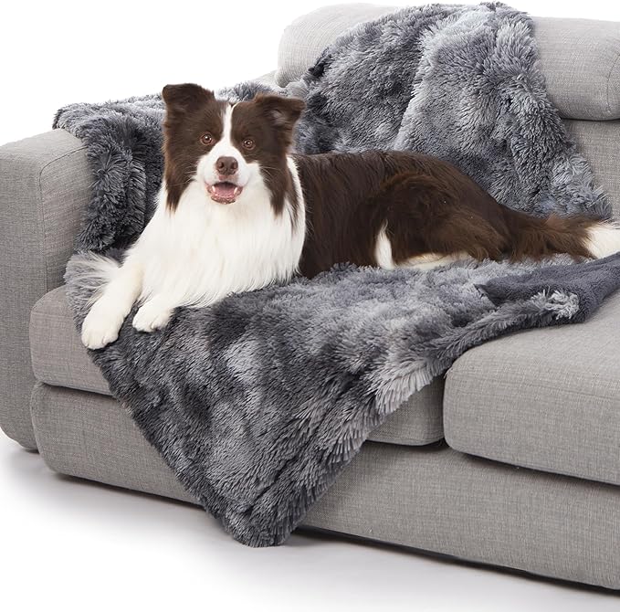 gogobunny Waterproof Dog Blanket by gogobunny