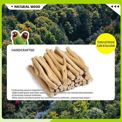 Natural Wood Bird Perch & Play Stand - Image 6