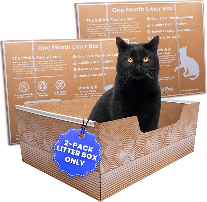 Leakproof Disposable 2-Pack Cat Litter Box Only by KittyPooClub