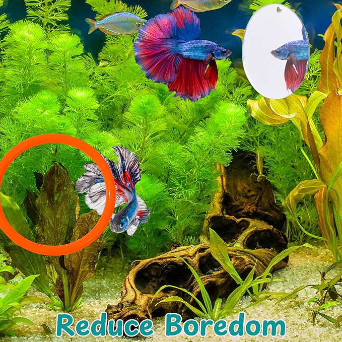Betta Mirror Enrichment Fish Toys Stimulation, Betta Fish Tank Accessories - Image 5