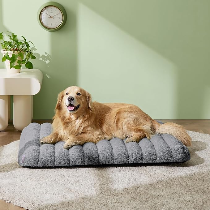 LE SURE Cute Orthopedic Dog Bed - Image 2