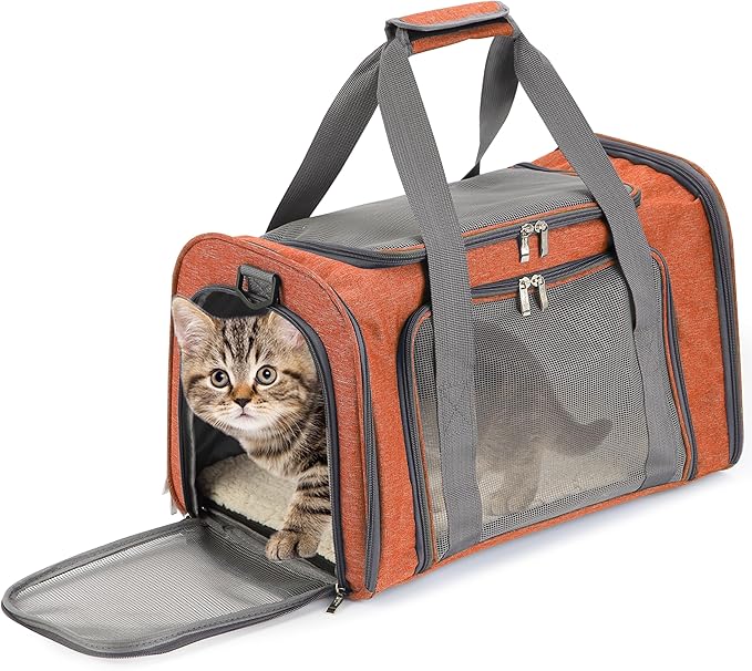 Mr. Pen Pet Carrier by MrPen