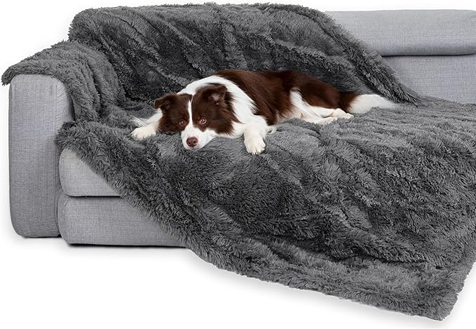 gogobunny Waterproof Dog Blanket by gogobunny