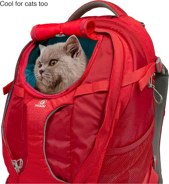 Kurgo G-Train Dog Carrier Backpack - Image 6