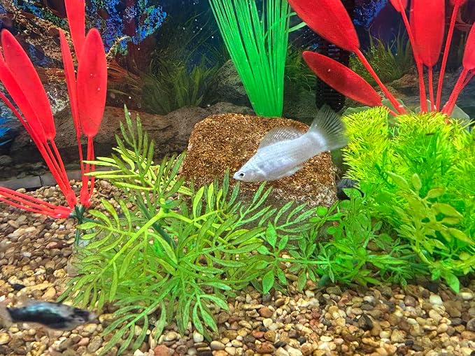 Aquarium Stone for Natural Water Clarification and Odor Removal Featuring - Image 6