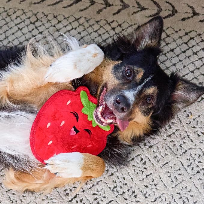Outward Hound Tough Skinz Durable Squeaky Dog Toy - Image 6