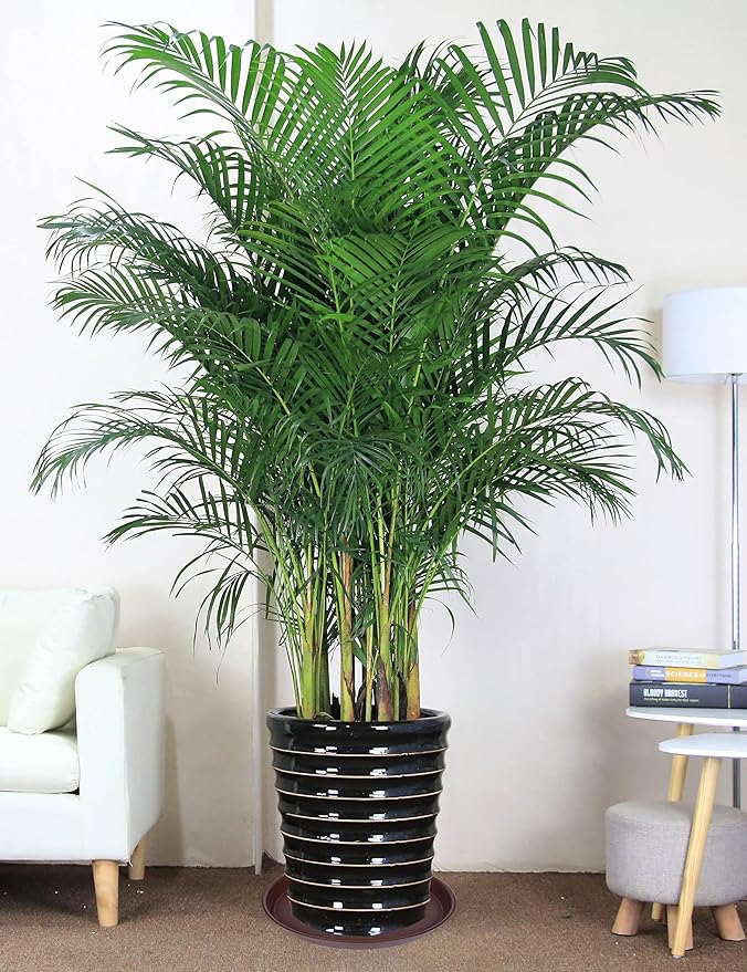 4 Pack of 14 inch Plant Saucer, Heavy Duty Round Plant Trays - Image 6