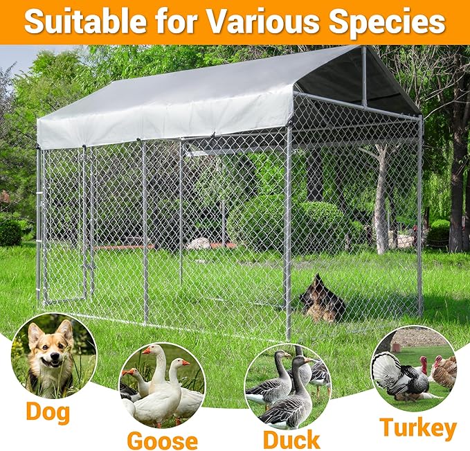 Outdoor Dog Kennel Large with Roof, Dog Run Enclosure, Large Outside Heavy Duty - Image 5