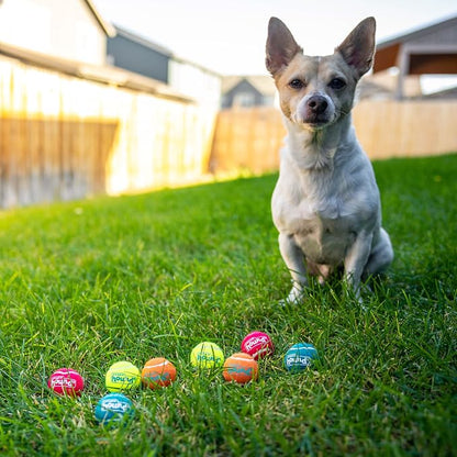 Outward Hound Squeaker Ballz – Squeaky Tennis Balls - Image 6