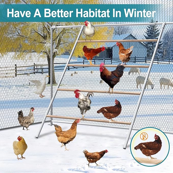 Chicken Perch, Chicken Coop Roosting Perch - Image 5