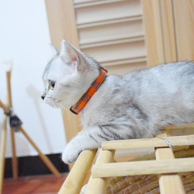 Breakaway cat Collars with Bell, Durable & Safe Cute Kitten Collars Safety - Image 7