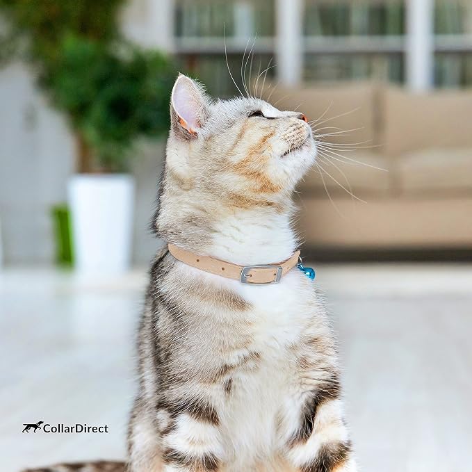CollarDirect Leather Cat Collar - Image 7