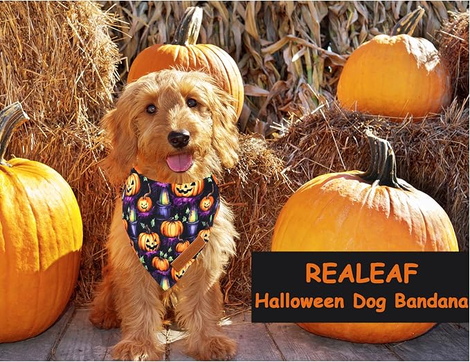 Realeaf Halloween Dog Bandanas 2 Pack, Pumpkins and Ghosts Pet Scarf - Image 6