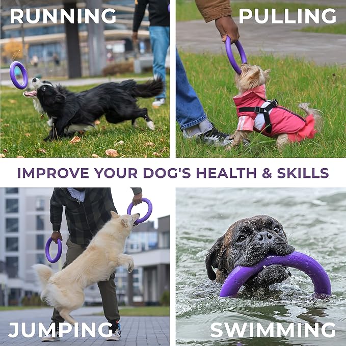 Dog Toy - Interactive Small Midi Dog Puppies Training - Fetch Toy - Dental - Image 4