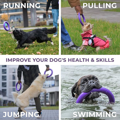 Dog Toy - Interactive Small Midi Dog Puppies Training - Fetch Toy - Dental - Image 4