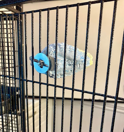 Polly's Comfy Clam Parrot Cage Flat Bird Perch - Image 6
