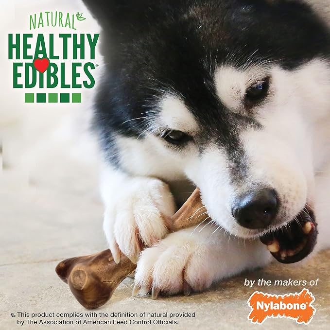 Nylabone Healthy Edibles WILD Natural Dog Chew Treats - Image 6