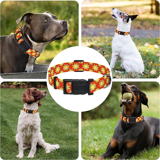 Dog Collar, Classical Indian Spirit Boys Girls Puppy Collar - Image 6
