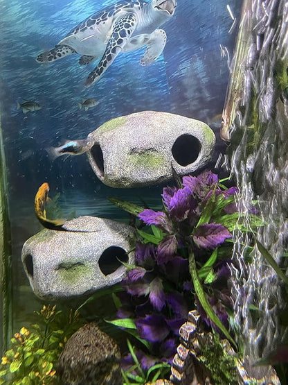 Aquarium Decor Magnetic Rock Cave Ornament – Wall-Mounted Fish Tank Accessory by Unknown