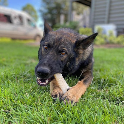 Nylabone Textured Knuckle Bone Power Chew Toy - Image 7
