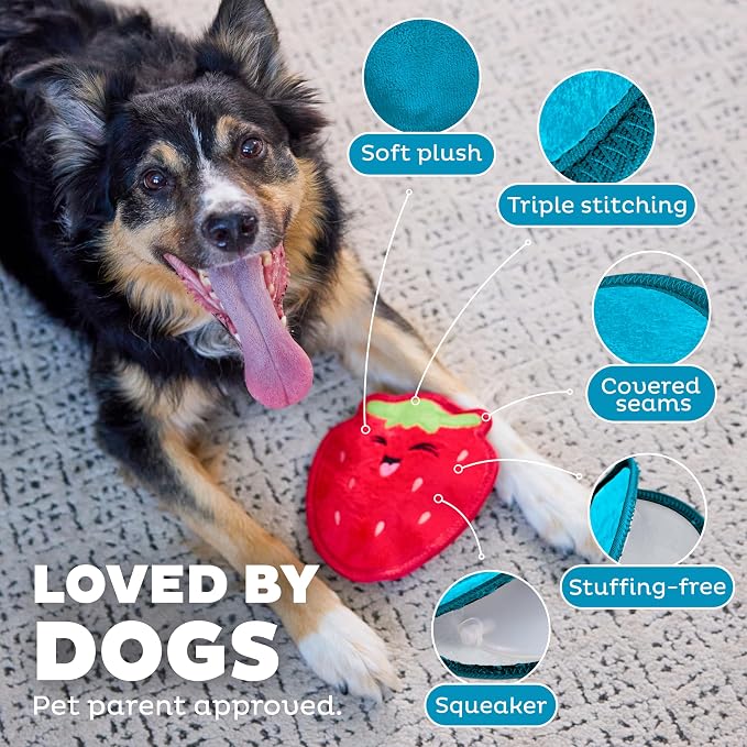 Outward Hound Tough Skinz Durable Squeaky Dog Toy - Image 4