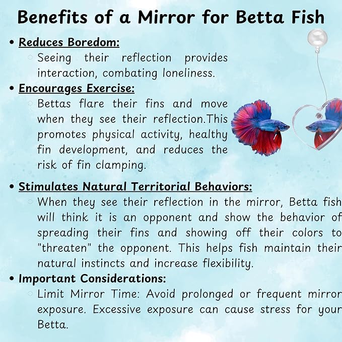 Betta Ring and Mirror Toy for Aquarium, Floating Exercise Mirrors for Fish Tank - Image 7