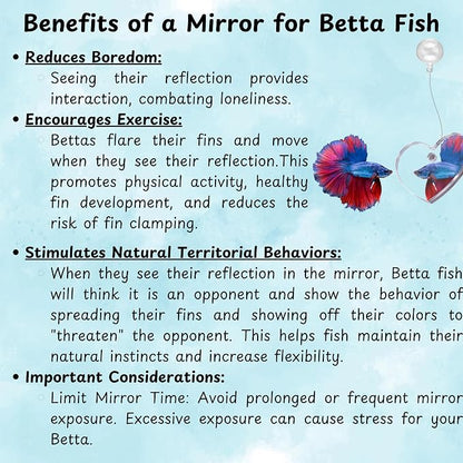 Betta Ring and Mirror Toy for Aquarium, Floating Exercise Mirrors for Fish Tank - Image 7