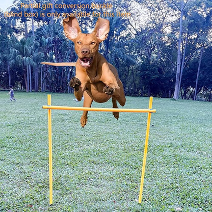 Dog Agility Equipment, Agility Poles, Dog Jumps, Outdoor Obstacle Course - Image 6