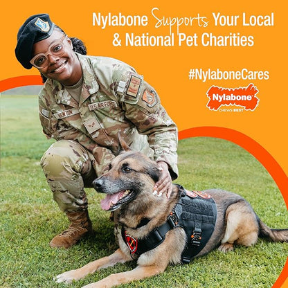 Nylabone Original Bone Flexi Chew Toy - Image 10