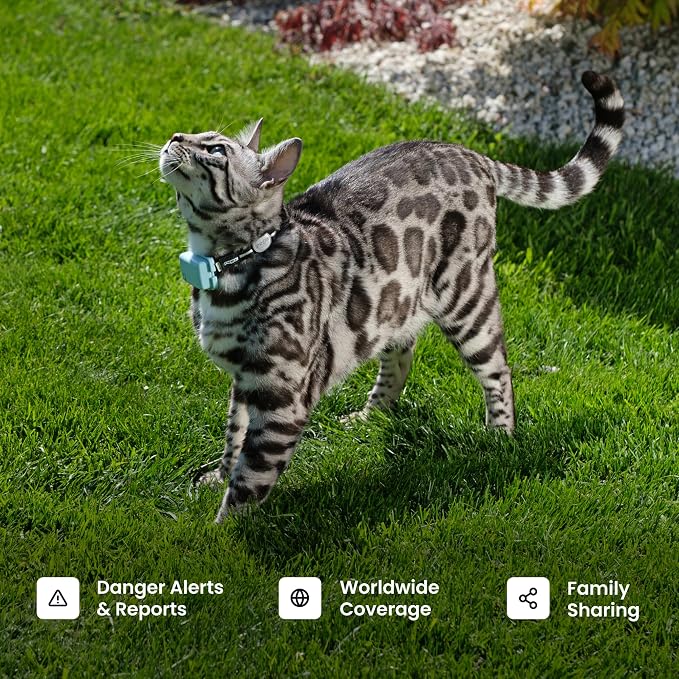 Tractive XL Smart Dog GPS Tracker | Live Pet Tracker - Image 8