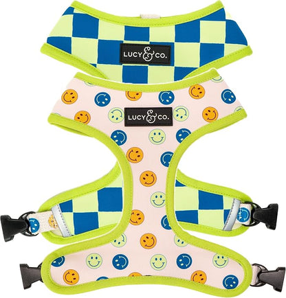 Lucy & Co. Lime Green with Blue Checker Smiley Faces, Cute Reversible Dog by LucyCo