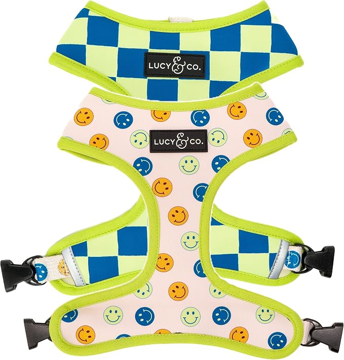 Lucy & Co. Lime Green with Blue Checker Smiley Faces, Cute Reversible Dog by LucyCo