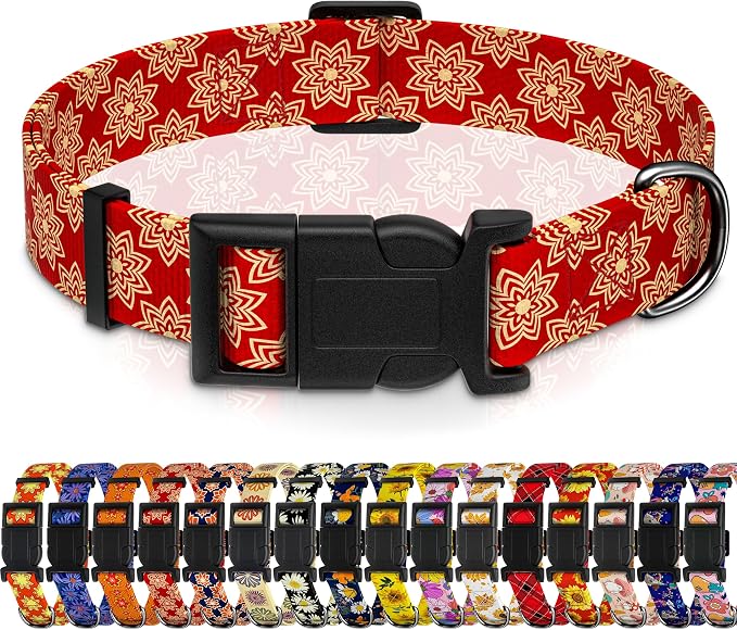 Dog Collar, Classical Indian Spirit Boys Girls Puppy Collar by Seyezo