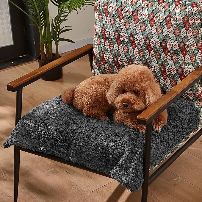 Kritter Planet Waterproof Dog Blankets - Image 2