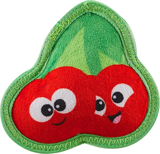 Outward Hound Tough Skinz Durable Squeaky Dog Toy by OutwardHound