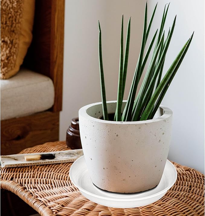 2 Pack of 12 inch Plant Saucer, 1.7" Depth Tray, Large Deep Garden Plastic - Image 6