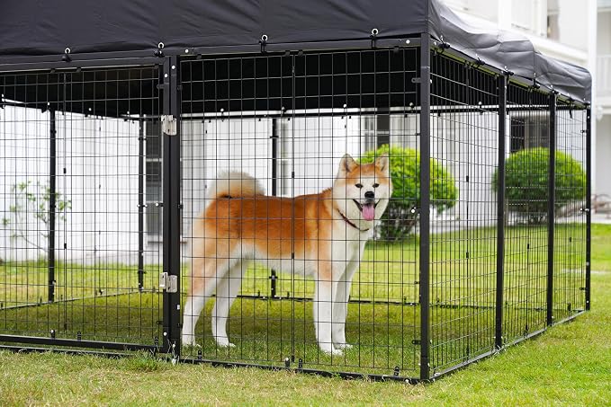 Outdoor Dog Kennel Steel for Medium/Small Dogs Anti-Rust Coating Cage - Image 4