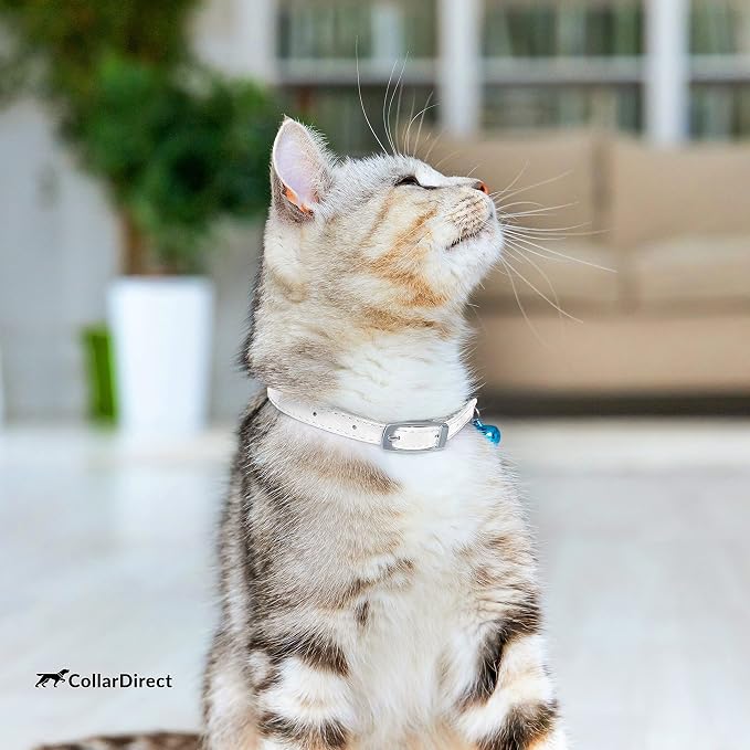 CollarDirect Leather Cat Collar, Cat Safety Collar - Image 7