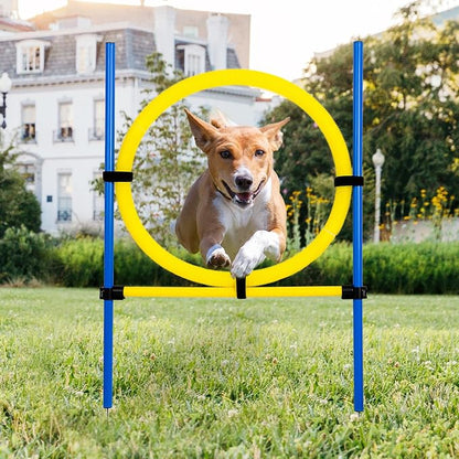 Pet Prime Dog Agility Training Equipment by PetPrime