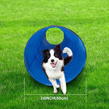 Dog Agility Tunnel, Dog Agility Equipment, Dog Agility Training - Image 6