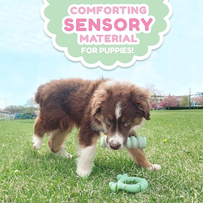 Nylabone Sensory Material Soothing Puppy Chew Toy Ring, Toys - Image 5