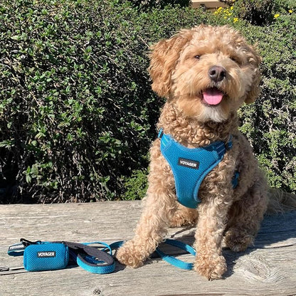 Best Pet Supplies Voyager Reflective Dog Leash or Collar - Image 2