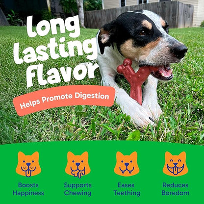 Chew'ems Durable Chewy Dog Toys | Long-Lasting & Flavorful Chew Dog Toys - Image 4